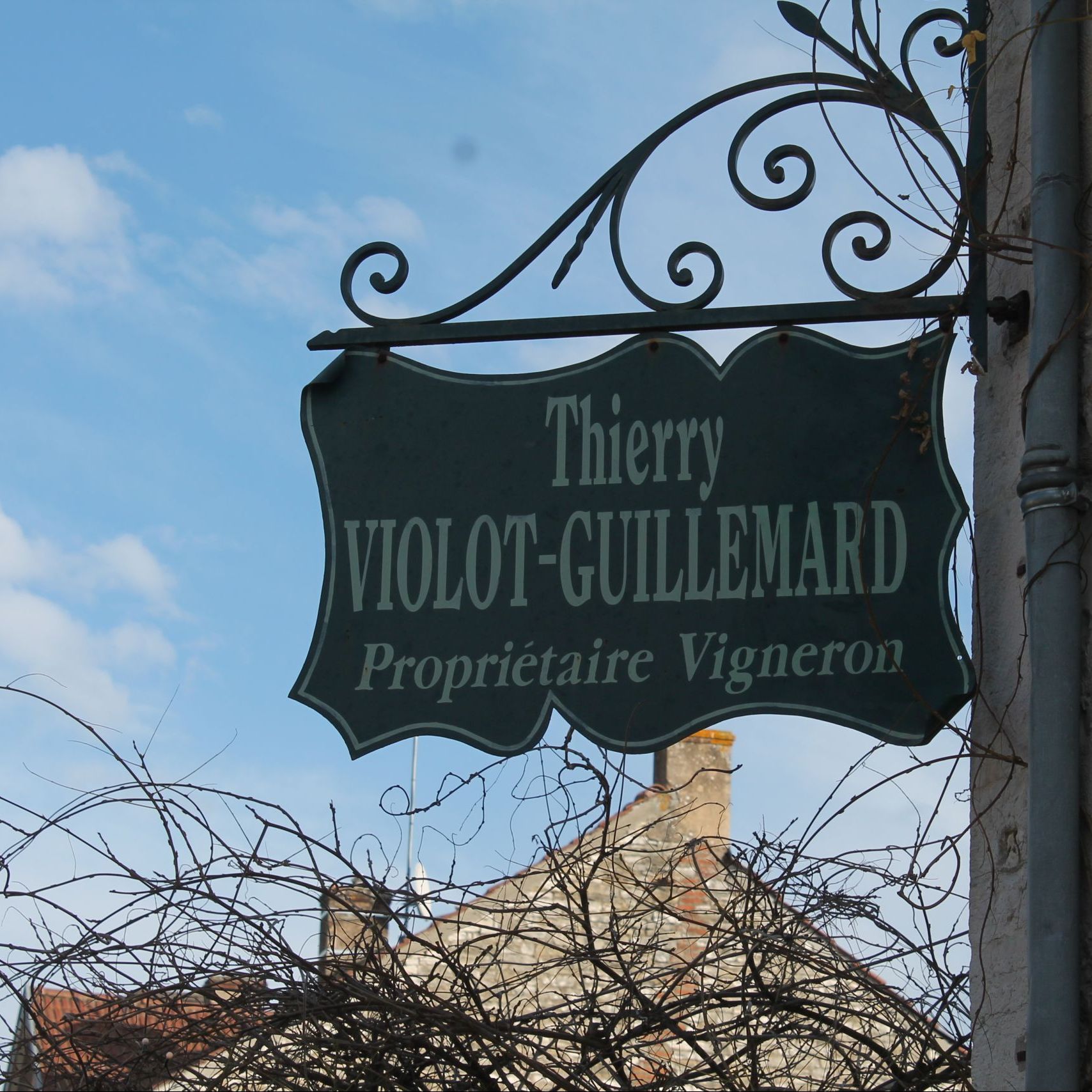 Violot-Guillemard
